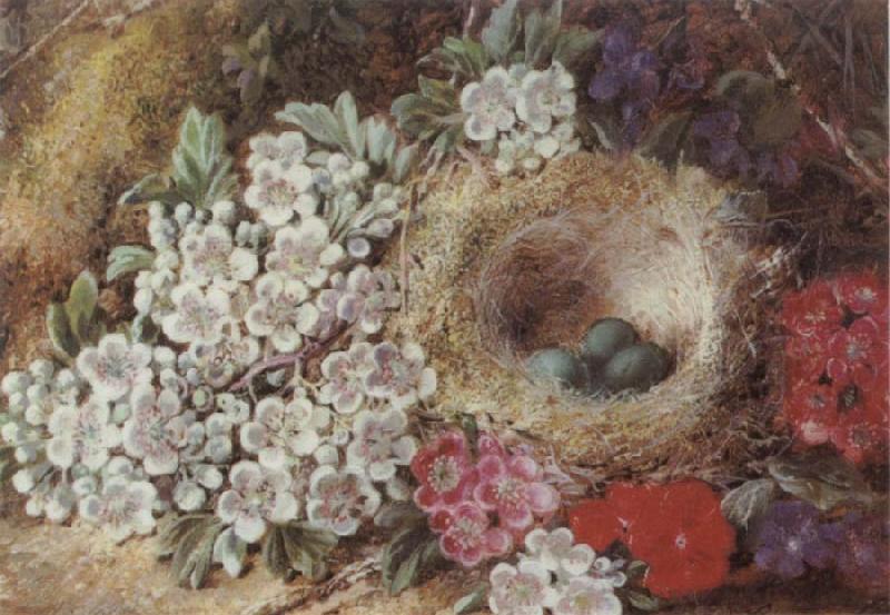 Clare George Bird-s Nest Still Life Sweden oil painting art
